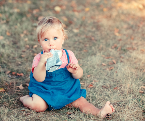 baby food pouch